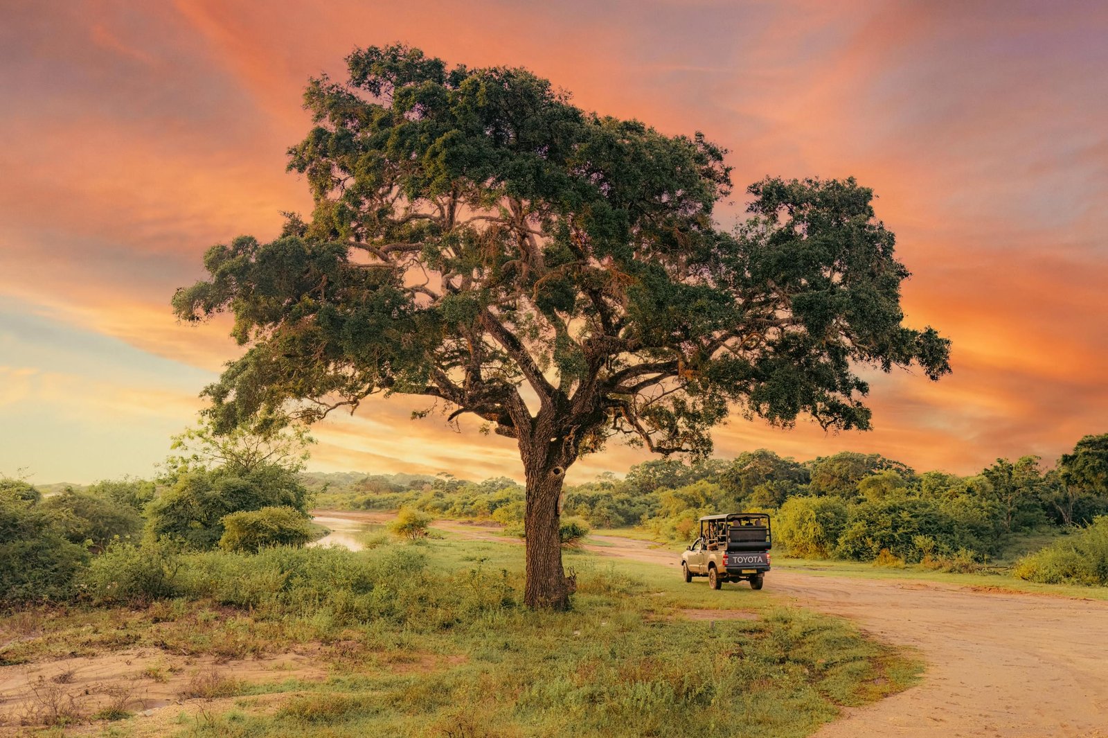Yala Game Drive